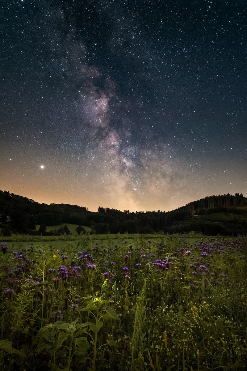 Galactic Adventures