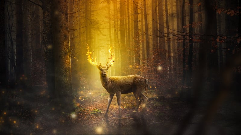 Magical Creatures